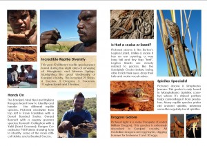 Karajarri WILDLIFE Booklet Page Example