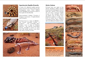 Ngurrara WILDLIFE Booklet Page Example