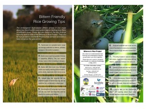 Bittern Friendly Rice Growing Tips 2014